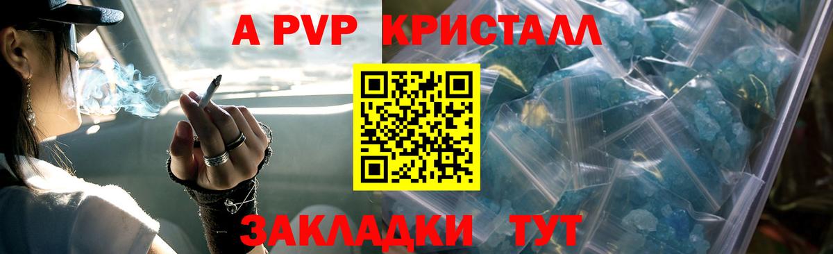 A PVP СК КРИС Пугачёв