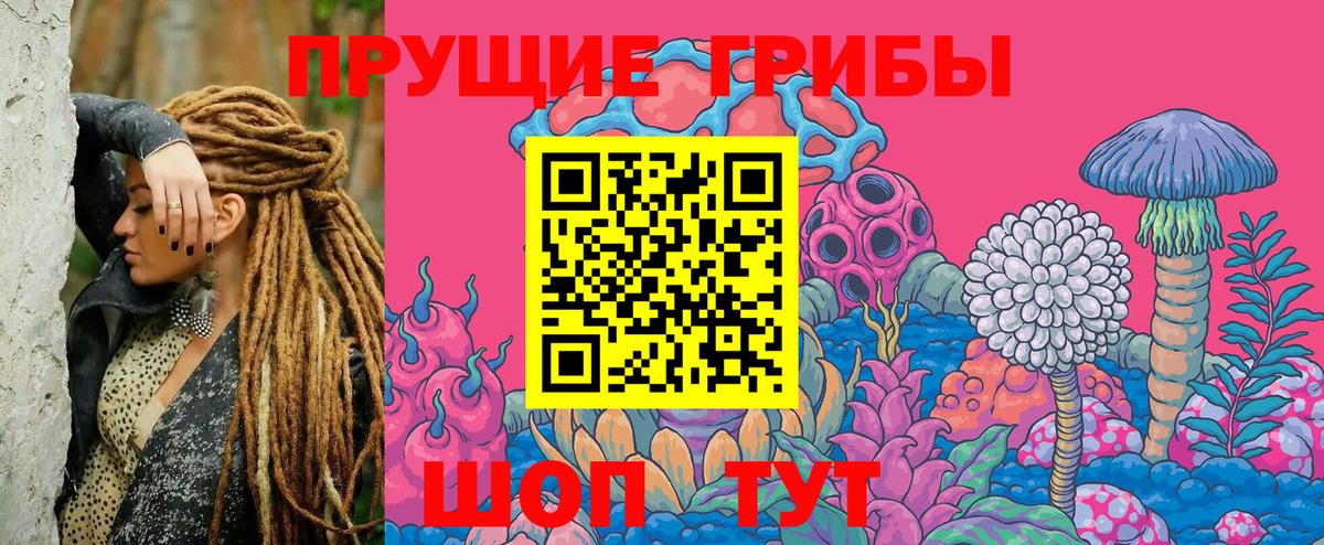 Псилоцибиновые грибы GOLDEN TEACHER  Галлюциногенные грибы ЛСД  Вход с VPN  Пугачёв 
