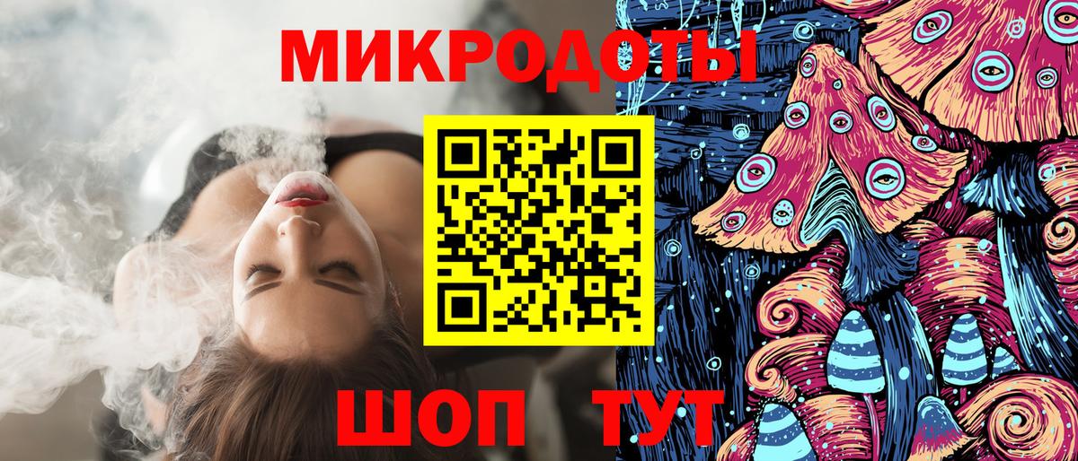 Галлюциногенные грибы Psilocybe Пугачёв
