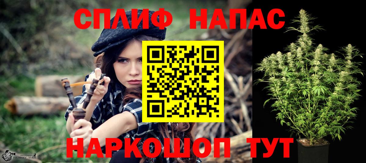 Шишки марихуана Amnesia  Бошки Шишки ГИДРОПОН  Бошки Шишки сатива  Пугачёв  МАРИХУАНА MAZAR  Вход с VPN 